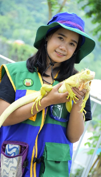 Iguana