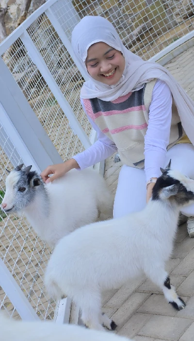 Kambing Pigmi