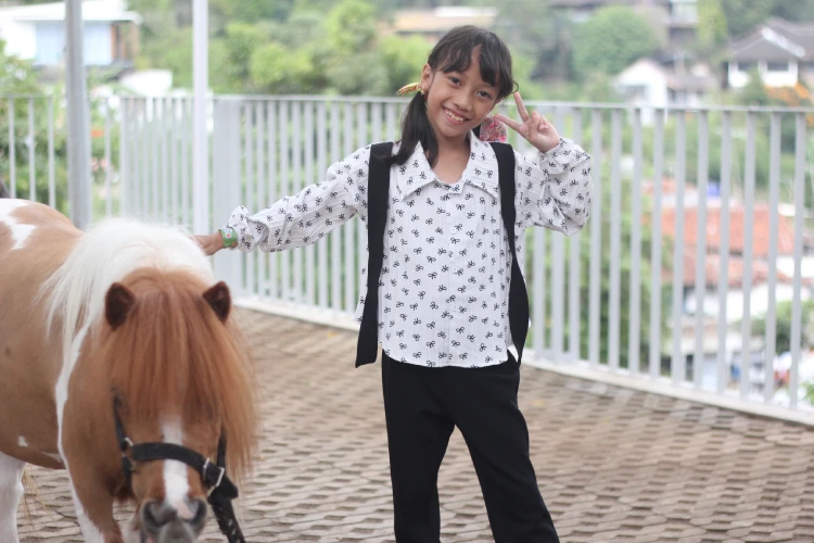 Kuda Poni